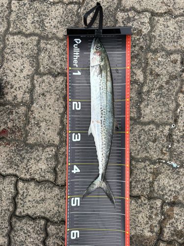 鞠山海遊パーク