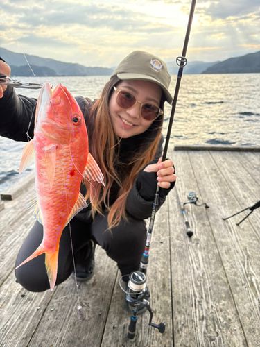 オジサンの釣果