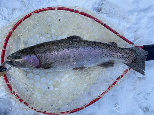 フィッシングエリア ウキウキランド