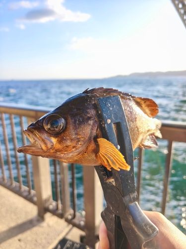 アジュール舞子