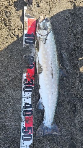 キラキラ公園（苫小牧西港）