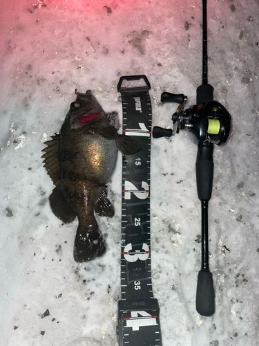 小湊漁港（青森）