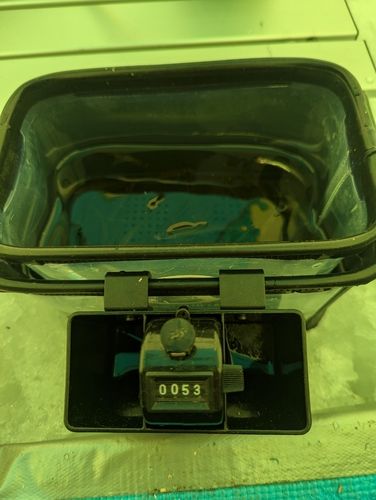 ワカサギの釣果