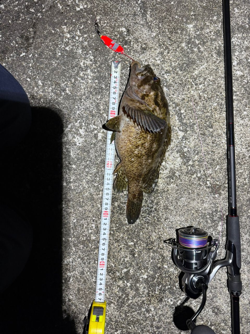 DAIWA 22HRF® (ハードロックフィッシュ) 90MH・Qの最安値・インプレ