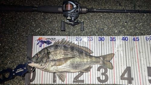 東京湾（アクアライン〜富津）