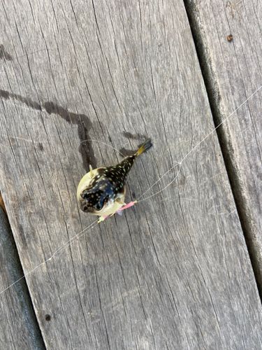 小名浜港アクアマリンふくしま周辺