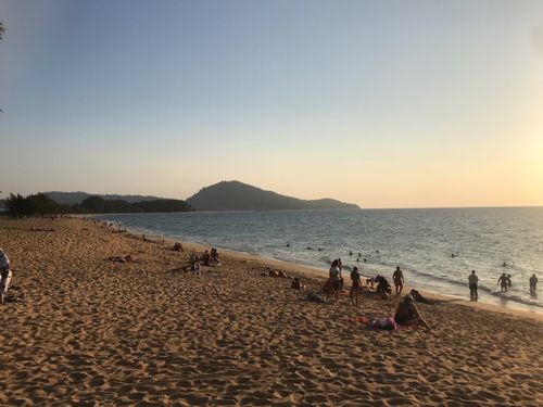 モトギスの釣果