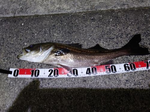 東部浄化センター（広島市）