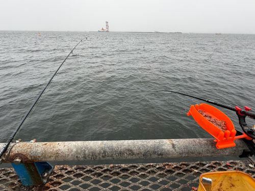 本牧海づり施設