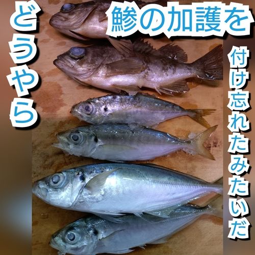 日吉原公共埠頭