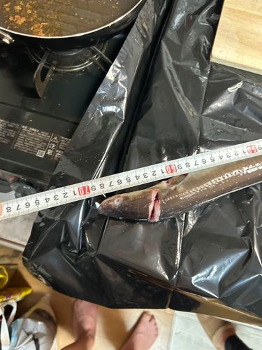 小名浜港市場前