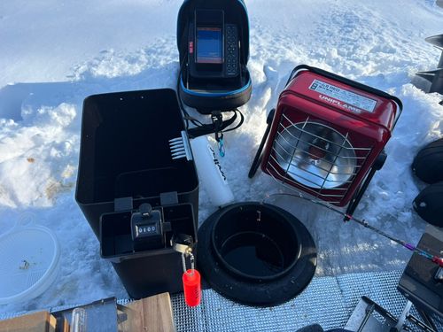 ワカサギの釣果