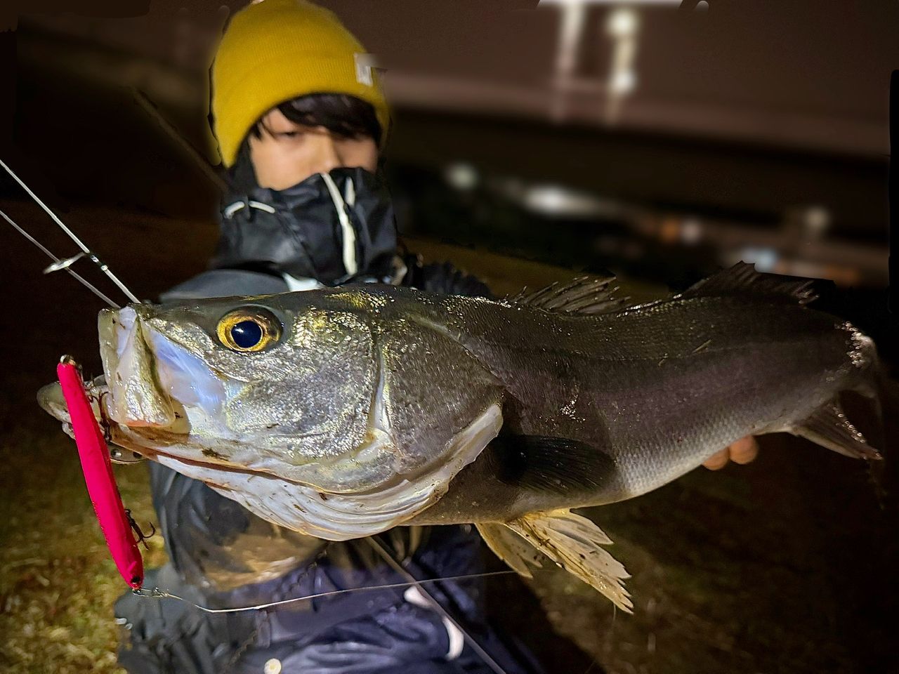 XESTA ランウェイSLS S94の最安値・インプレ・釣果 | 本音の口コミが