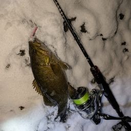 スモールマウスバス