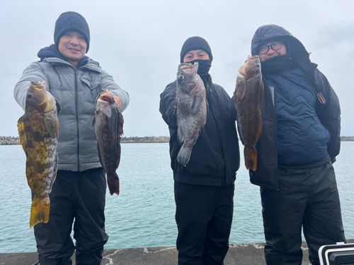 アイナメの釣果