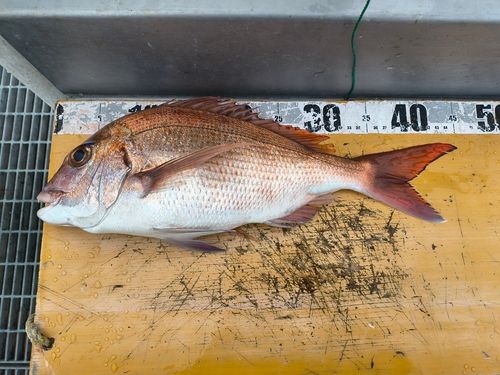 鴨池海づり公園