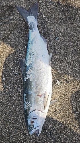 キラキラ公園（苫小牧西港）