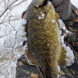 スモールマウスバス