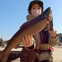 トラウトサーモン