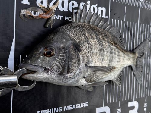 大村湾（南部）