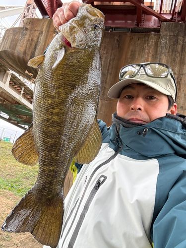 桂川（京都）中流