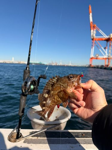 東京湾（アクアライン〜富津）