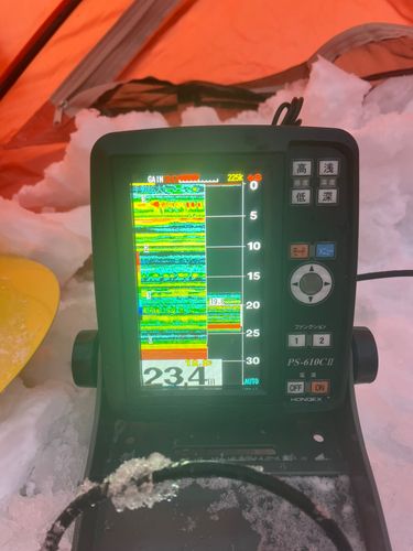 ワカサギの釣果