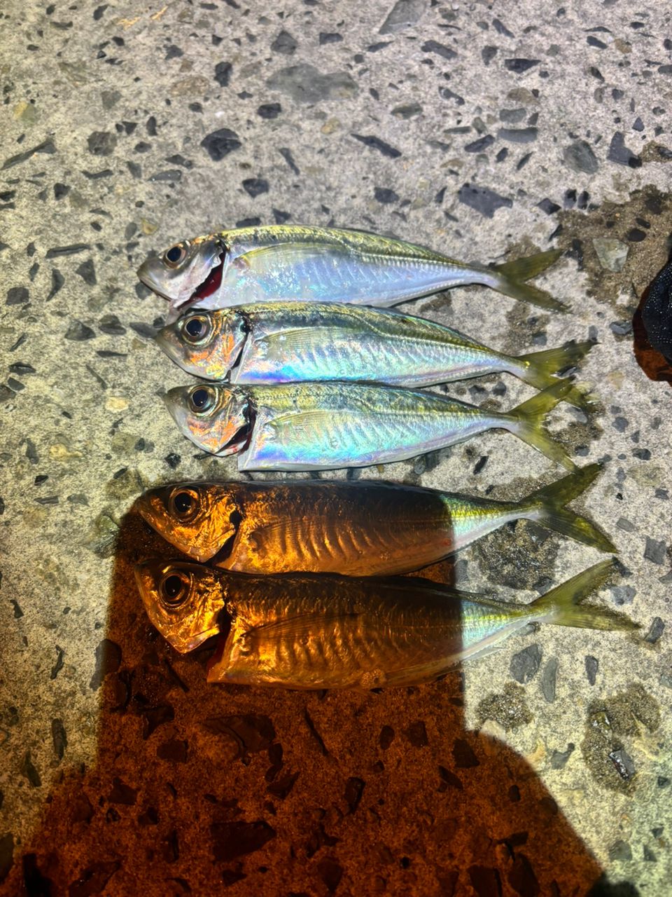 OLYMPIC 23コルト UX 23GCORUS-572UL-HSの最安値・インプレ・釣果