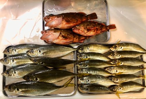 東京湾（アクアライン〜富津）