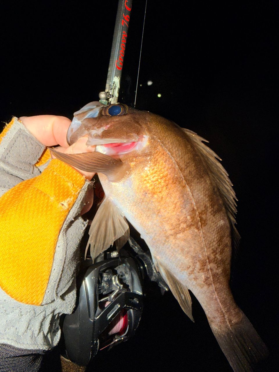 TULALA 18グルービー 76Cの最安値・インプレ・釣果 | 本音の口コミが