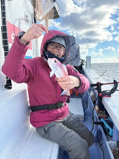 アマダイの釣果