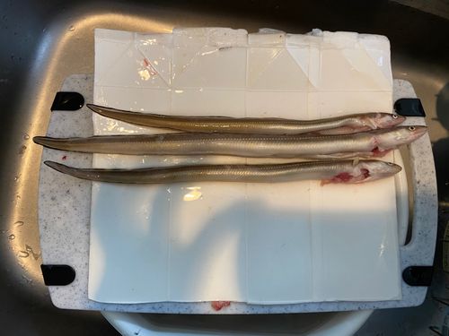 本牧海づり施設