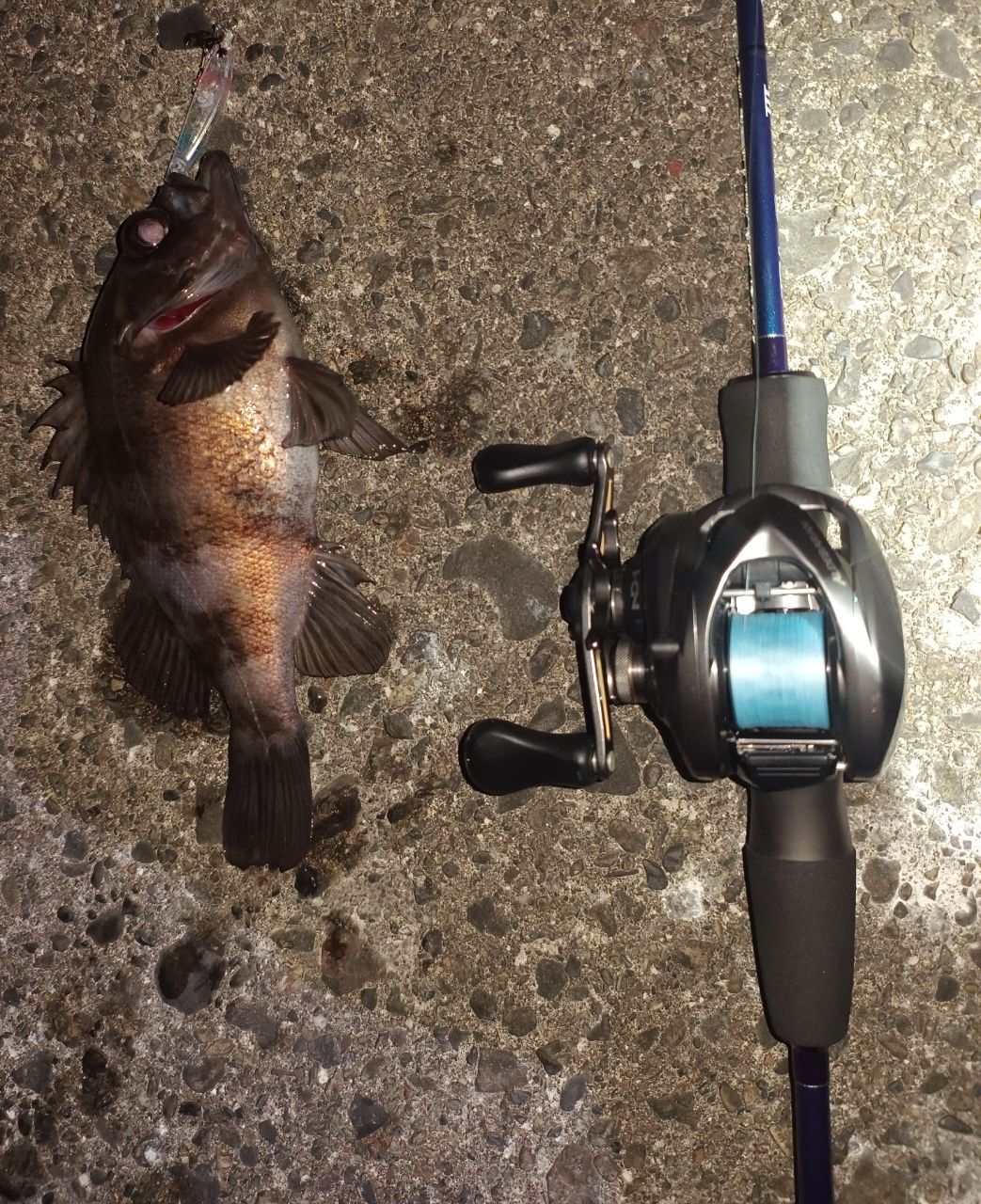 SHIMANO 16アルデバラン BFS XG LEFTの最安値・インプレ・釣果 | 本音