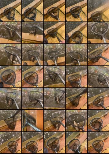 アミューズパークいわき