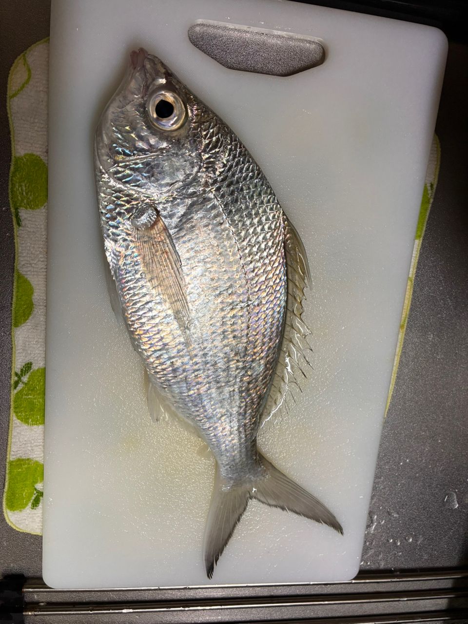 SHIMANO 18ラディックス 1.5-530の最安値・インプレ・釣果 | 本音の