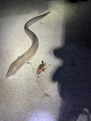 金沢水際線緑地（福浦岸壁）