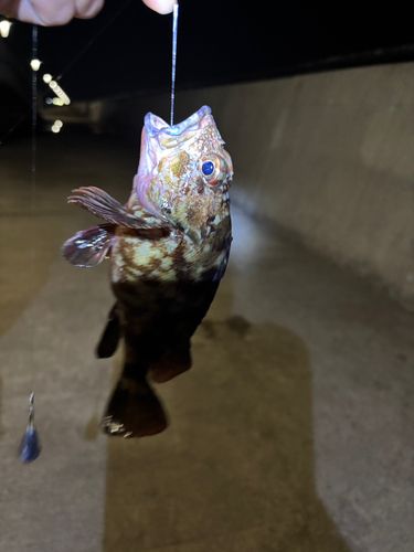 金沢水際線緑地（福浦岸壁）