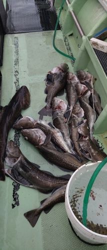 三陸海岸（岩手）