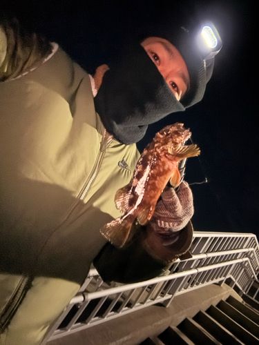 新舞子マリンパーク