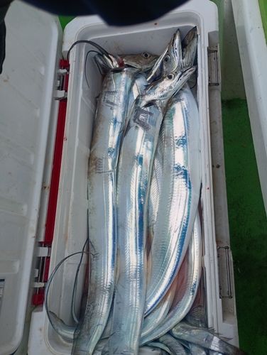 東京湾（アクアライン〜富津）