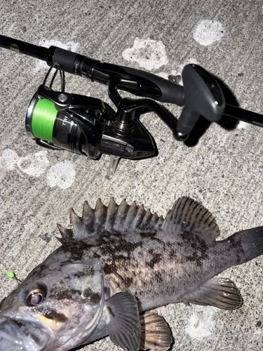 三陸海岸（岩手）