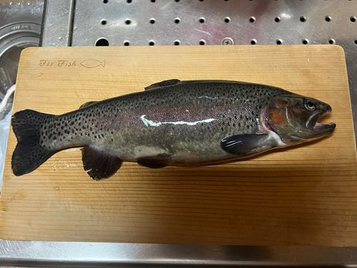 ベリーパーク in FISH ON! 王禅寺