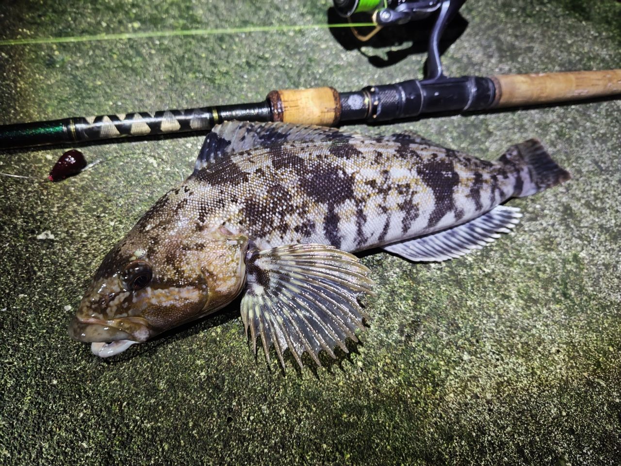 AbuGarcia ソルティーステージ・ロックフィッシュ SXRS-862MH-LA-KRの