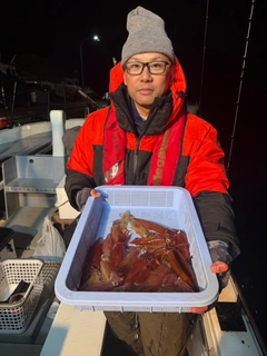 マルイカの釣果