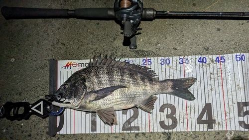 東京湾（アクアライン〜富津）