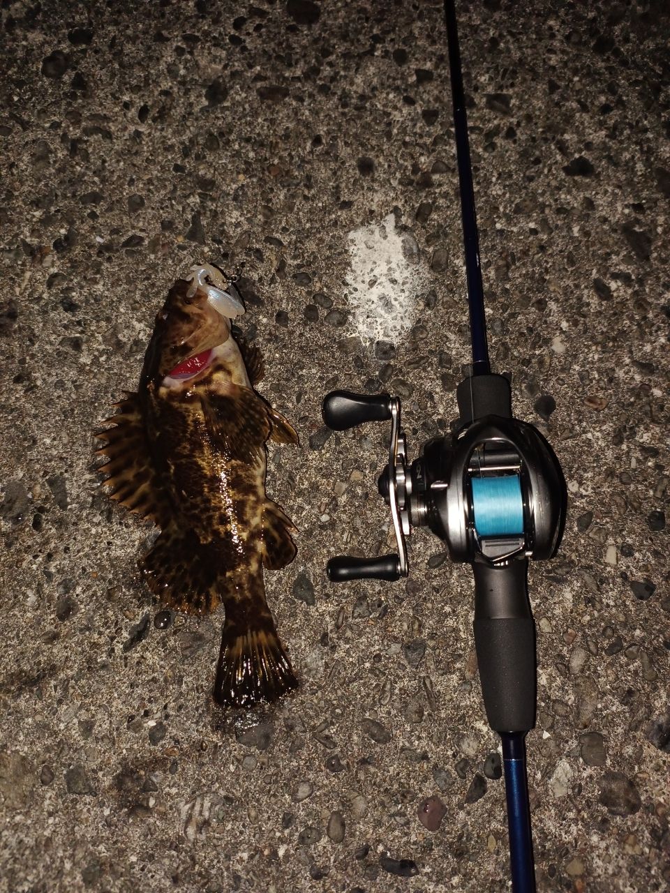 SHIMANO 16アルデバラン BFS XG LEFTの最安値・インプレ・釣果 | 本音