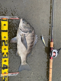 SHIMANO 19スコーピオン 1752R-2の最安値・インプレ・釣果 | 本音の 