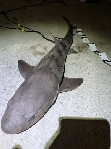 金沢水際線緑地（福浦岸壁）