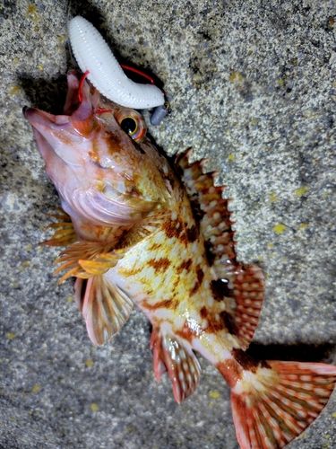 三陸海岸（岩手）