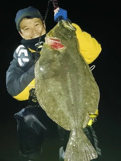 ヒラメの釣果